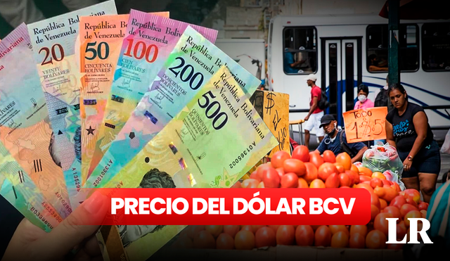 Precio del dólar BCV hoy, 24 de noviembre, en Venezuela. Foto: composición LR