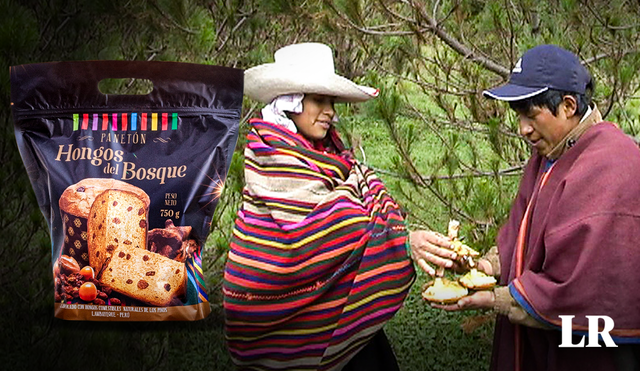 El panetón a base de hongos comestibles y su relación con los comuneros de Marayhuaca. Foto: composición LR Jazmín Ceras