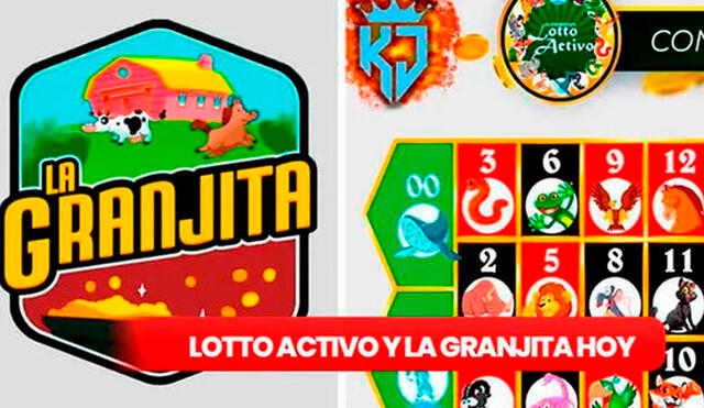 Lotería Lotto Activo y la Granjita de HOY, 24 de noviembre de 2023, resultados de los Animalitos, Pirámide de Animalitos y datos explosivos. Foto: composición LR/ LotoVen/ RuletaActivaKJ