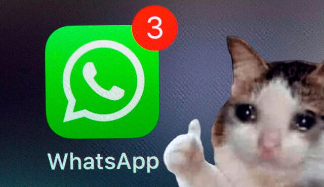 Puedes haber realizado algunos desajustes y por eso tienes estos problemas con WhatsApp. Foto: Mundo Xiaomi