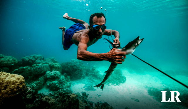 Los Bajau viven en Filipinas, Malasia e Indonesia. Foto: composición LR/NomadaQ