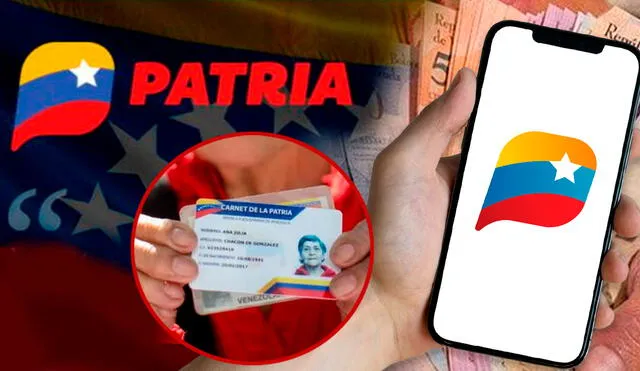 La Plataforma Patria te permite hacer diferentes trámites y acceder a los subsidios en Venezuela. Foto: composición LR/Patria