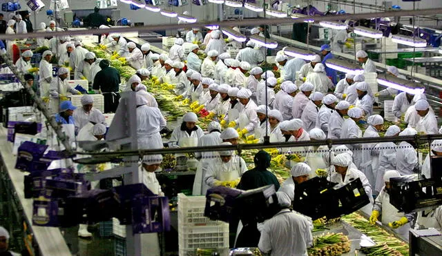 Exportaciones de frutas sumaron más de US$6.000 millones a setiembre. Foto: Andina