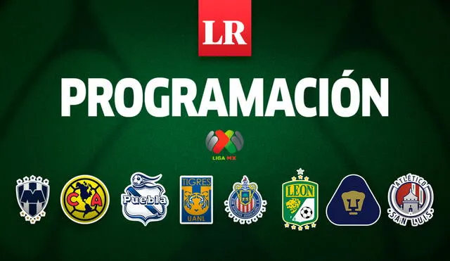 Solo uno de los ocho clubes que juegan estos cuartos de final no ha sido nunca campeón de la Liga MX. Foto: composición/GLR