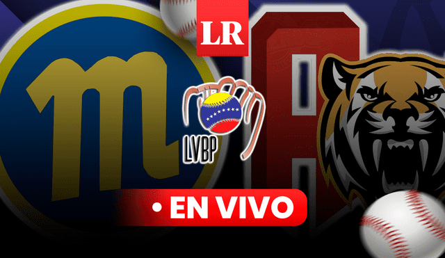 Navegantes del Magallanes vs. Tigres de Aragua volverán a verse las caras por séptima vez en la LVBP 23-24. Foto: composición LR/LVBP