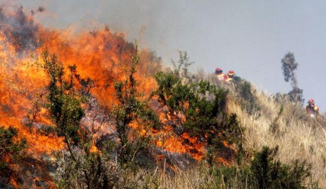 Los incendios forestales son recurrentes en el Perú. Foto: Actualidad Ambiental