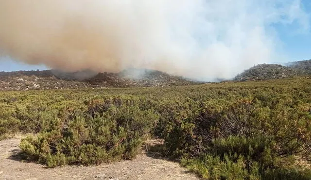 Fuego en Sondor - Caravelí, no puede controlarse desde hace dos semanas. Foto: La Republica