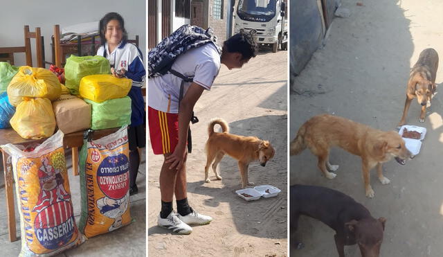 Escolares alimentan con croquetas a los perros que viven en las calles. Foto: cortesía