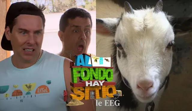 'Al fondo hay sitio': Melitón, la cabra, se come los ahorros de Pepe y Tito. Foto: composición LR/captura América TV