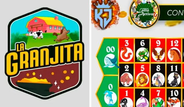 Lotería Lotto Activo y la Granjita de HOY,  8 de diciembre de 2023, resultados de los Animalitos, Pirámide de Animalitos y datos explosivos. Foto: composición LR/ LotoVen/ RuletaActivaKJ