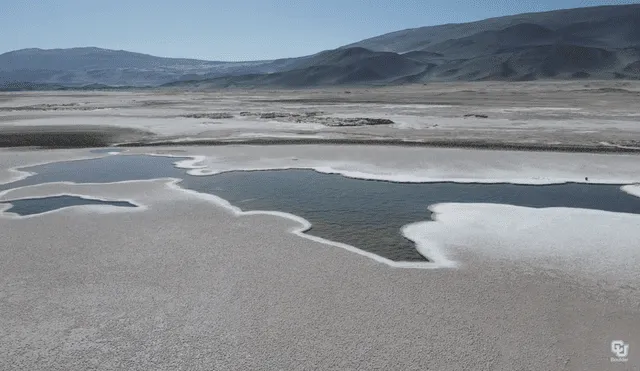 Según geólogos, este extraño ecosistema alberga formas de vida de la Tierra primitiva. Foto: University of Colorado