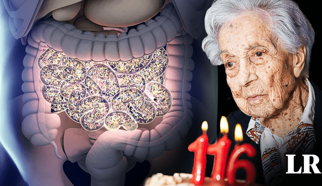 La mujer más anciana del mundo tiene 116 años con 280 días. Foto: composición LR / LongeviQuest