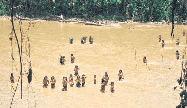 La Municipalidad Provincial de Ucayali excluye de su territorio la creación de áreas naturales protegidas y reservas de pueblos indígenas en aislamiento y contacto inicial (Piaci). Foto: Elizabeth Prado