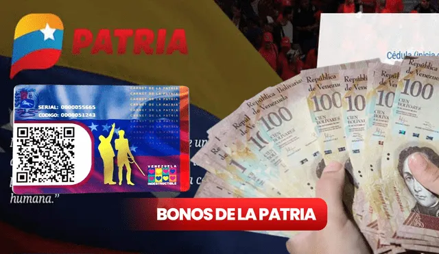 Conoce los bonos que llegarán en diciembre través del Sistema Patria. Foto: composición LR/ Patria Conoce los bonos que llegarán en diciembre través del Sistema Patria. Foto: composición LR/ Patria