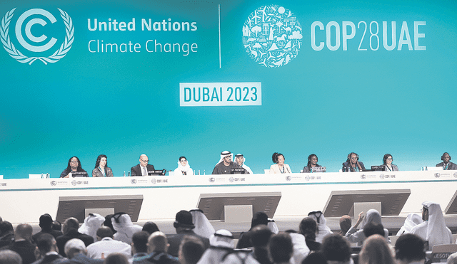 Compas de espera. Pleno de delegados de 198 países asistentes a la conferencia COP 28 en Dubái. Foto: difusión