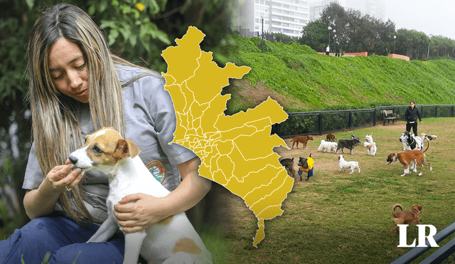 ChatGT eligió al mejor distrito para vivir con mascotas por sus amplias áreas verdes. Foto: composición LR/Facebook/difusión