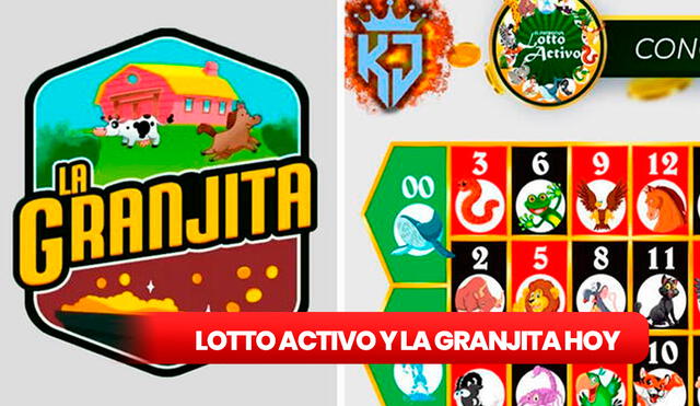 Lotería Lotto Activo y la Granjita de HOY, 17 de diciembre de 2023, resultados de los Animalitos, Pirámide de Animalitos y datos explosivos. Foto: composición LR/ LotoVen/ RuletaActivaKJ