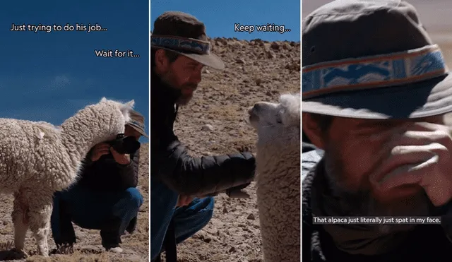 El video captó la atención de miles en la plataforma china. Foto: composición LR/TikTok/@natgeo