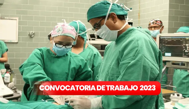 La convocatoria de trabajo del Ministerio de Salud está vigente hasta el 22 de diciembre. Foto: composición LR/Comex