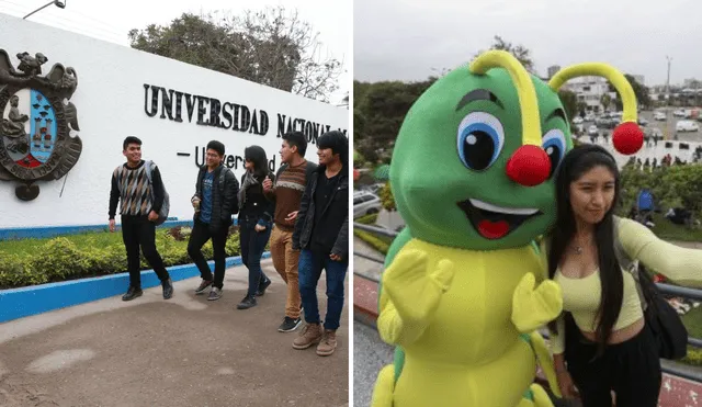 'Gusano Legendario' es una de las jergas peruanas que más se escucha dentro de la Universidad Nacional Mayor de San Marcos. Foto: composición LR/Agencia Andina /UNMSM