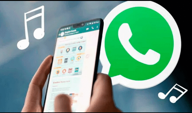 Truco de WhatsApp funciona en Android y iPhone. Foto: Xataka