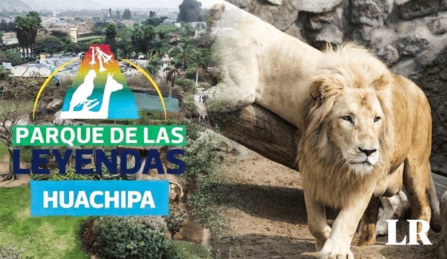 MML se comprometió a "renovar sus instalaciones y cuidar a los animales" del zoológico de Huachipa. Ahora los ciudadanos pueden visitarlos. Foto: composición de Fabrizio Oviedo/LR