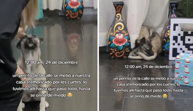 El video conmovió a miles de usuarios en las redes sociales. Foto: composición LR/TikTok/@sandiaef