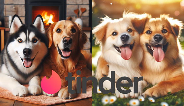En esta nota, te mostraremos 3 aplicaciones similares a Tinder, pero centradas en perros. Foto: composición LR/Bing/Tinder