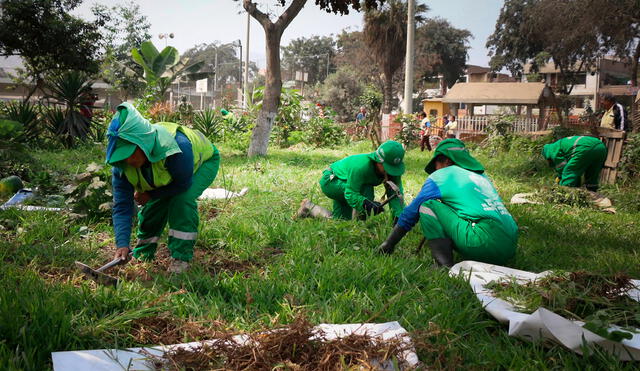 Pucusana es el distrito con menos áreas verdes de toda Municipalidad de Lima. Foto: Facebook/Municipalidad de San Juan de Lurigancho.