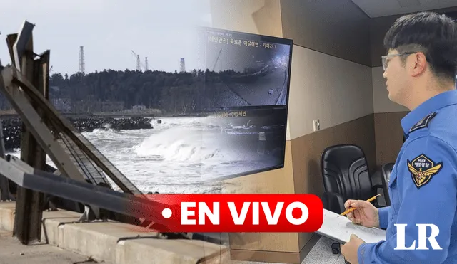 El terremoto de 7,6 y los subsiguientes tsunamis han recordado a los que azotaron el noreste de Japón el 11 de marzo de 2011 y causaron la muerte de 18.000 personas. Foto: composición de Fabrizio Oviedo/EFE