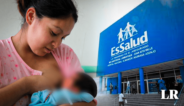 Cada año, miles de madres peruanas se benefician del subsidio por lactancia. Foto: composición LR/Andina