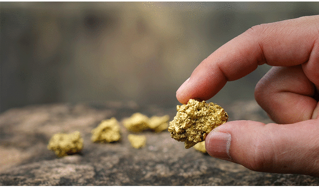 El oro es altamente valorado por ser difícil de encontrar en la naturaleza. Foto: referencial/Adobe Stock