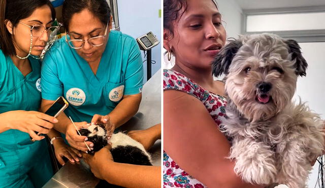 La Veterinaria Solidaria de Comas se inauguró en 2023. Foto: composición LR/Instagram/Serpar