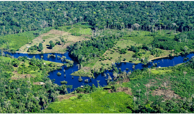 La tala y la expansión agrícola amenazan la conservación de bosques en Brasil. Foto: CIFOR / Flickr