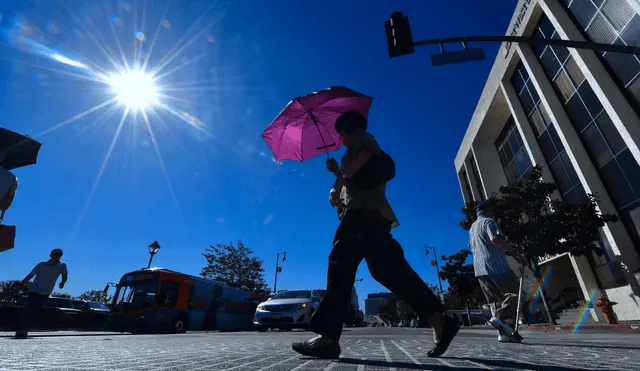 El 2023 fue el año más caluroso desde que existen registros. Foto: Univision