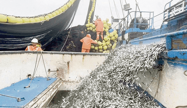 Anchoveteros. España es el principal comprador mundial de anchovetas, seguido por Italia y Francia, según el CIES Adex. Foto: difusión