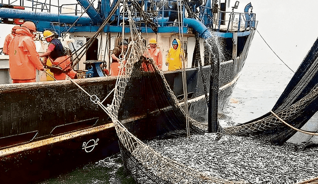 Rebote. Segunda temporada de pesca inició en octubre, lo que empujó la cifra, pues en 2022 la actividad se retrasó un mes. Foto: difusión