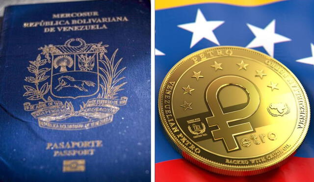 El Gobierno de Venezuela cerrará los monederos de las criptomonedas Bitcoin, Litecoin y Dash. Foto: composiciónLR/Anadolu Ajansi/Nayma Consultores