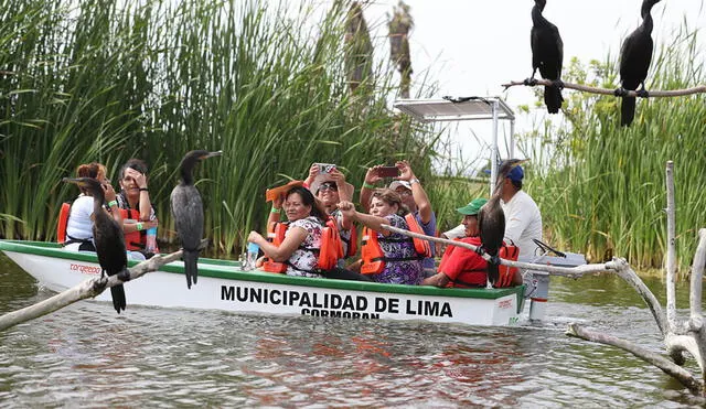 En los Pantanos de Villa, podrás hacer un recorrido inolvidable acompañado de amigos o familia. Foto: página web de Pantanos de Villa