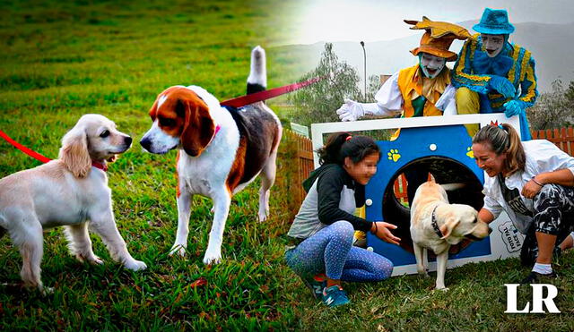 Parques para perros pueden encontrarse en los diversos distritos de Lima Metropolitana. Foto: composición de Gerson Cardoso/La República