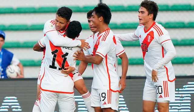 Perú jugará la próxima fecha ante Argentina. Foto: X/@LaBicolor | Video: DSports