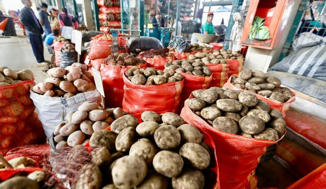 El abastecimiento de alimentos a los mercados mayoristas superó las 8.000 toneladas esta semana en Lima. Foto: Midagri