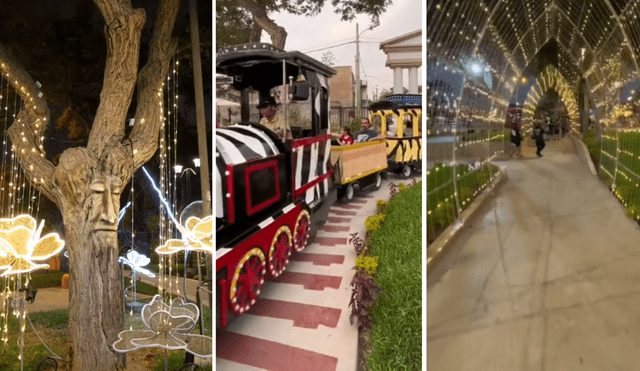 El Bosque Encantado de Fátima volvió a abrir sus puertas después de más de 3 años. Foto: composición LR/captura de TikTok