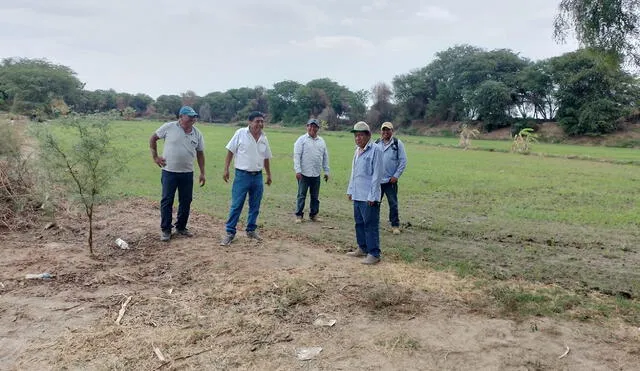 Agricultores esperan que Agrobanco acelere los créditos. Foto: La República