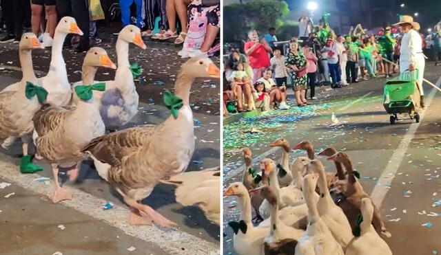 Adulta mayor vende alimentos junto a sus gansos en playa de Arequipa por las tardes. Foto: composición LR/ Wilder Herrera/TikTok - Video: TikTok