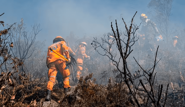 Con apoyo de la Fuerza Aérea y dos helicópteros de la Policía, Colombia está tratando de controlar los incendios forestales. Foto: composición LR/ El Tiempo