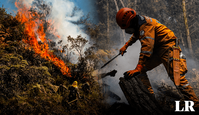 A la fecha, se han reportado más de 30 incendios a lo largo de todo el territorio colombiano. Foto: composición LR/El País/Chelo Camacho/Colprensa
