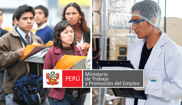 La mayoría de carreras universitarias se culminan en 5 años en Perú. Foto: composición LR/Andina