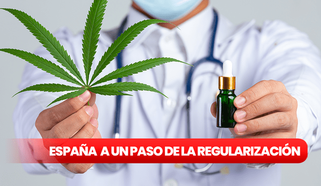 España regularizará el consumo legal de cannabis medicinal en los próximos meses. Foto: composición LR/Freepik