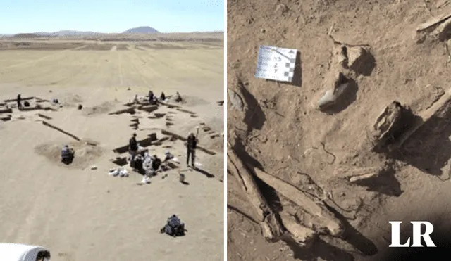 Arqueólogos realizaron estudios en 24 cuerpos de personas primitivas. Foto: Composición de Fabrizio Oviedo LR/ Andina
